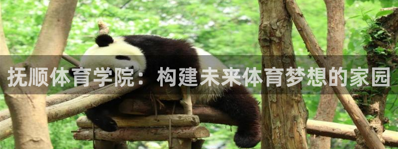 500体育APP专业版