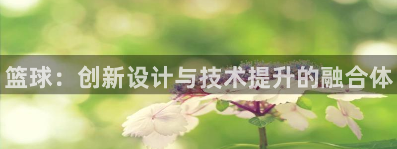 500体育老版本