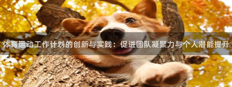 关键词：体育运动工作计划的创新与实践：促进团队凝聚力与个人潜能提升
