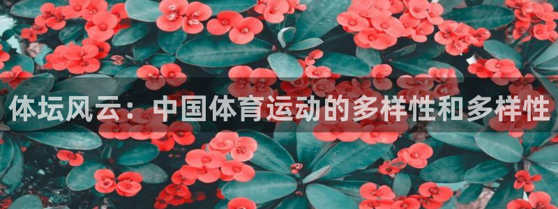 500体育彩票官网下载：体坛风云：中国体育运动的多样性和多样性