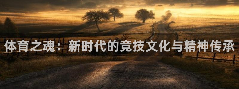 500体育旧版本下载