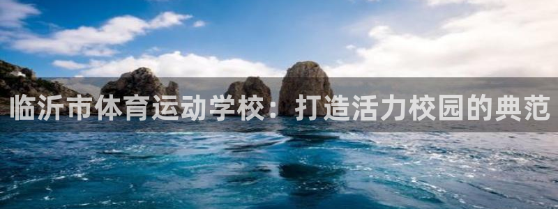 500体育手机版