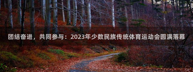 500体育足球竞彩怎么看不到指数：团结奋进，共同参与：2023年少数民族传统体育运动会圆满落幕