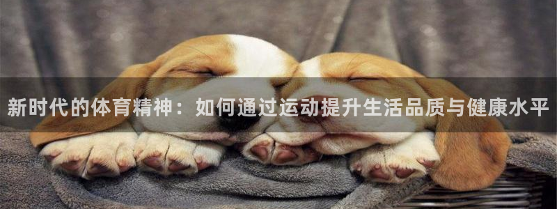 500体育竞彩网：新时代的体育精神：如何通过运动提升生活品质与健康水平